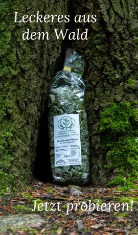Leckeres aus dem Wald