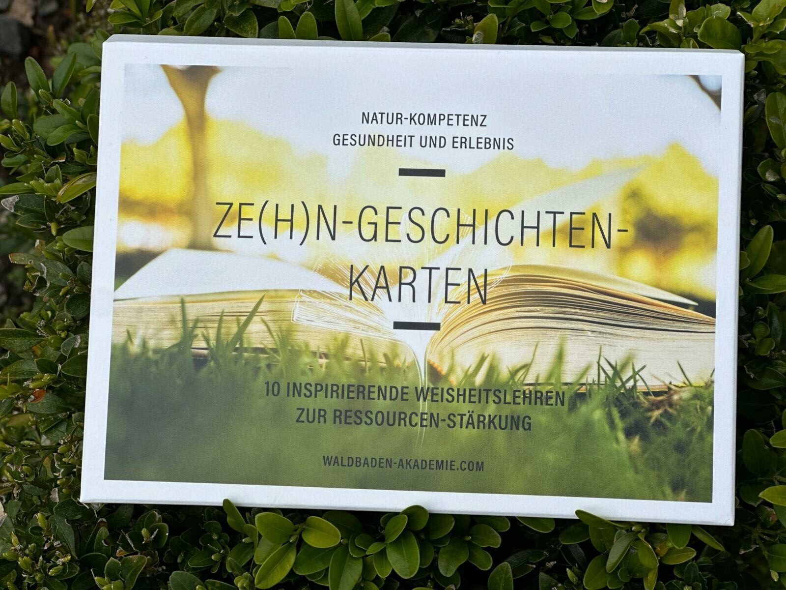 Ze(h)n-Geschichten-Kartenset – Bild 2