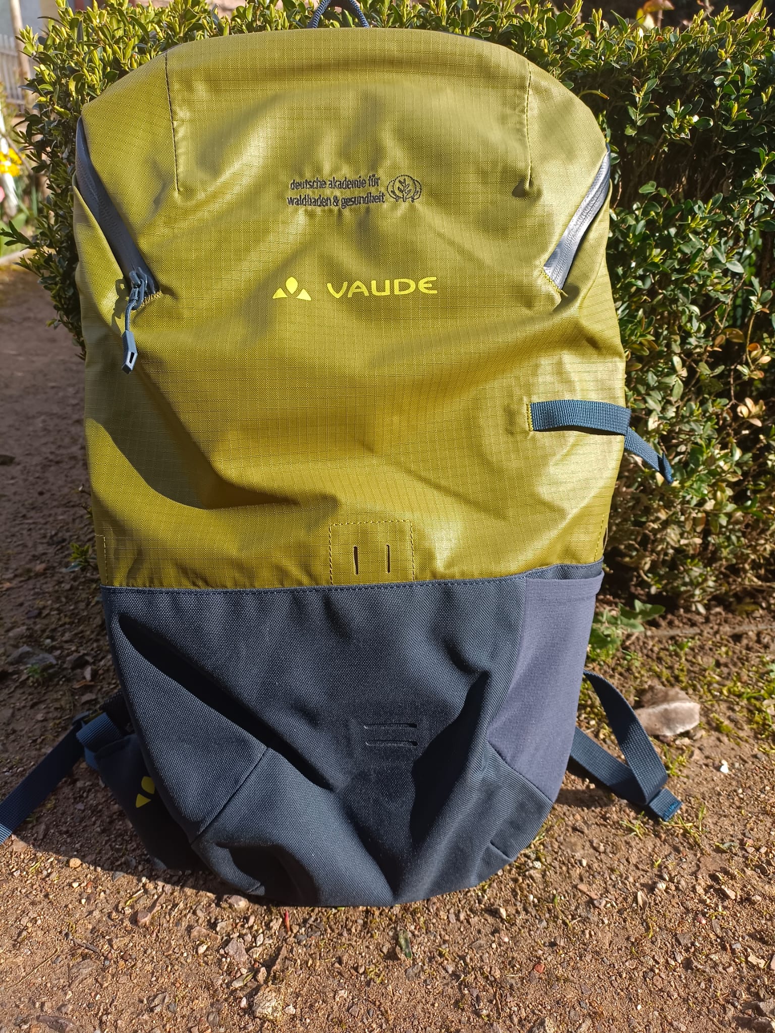 Vaude Rucksack "Daypack"