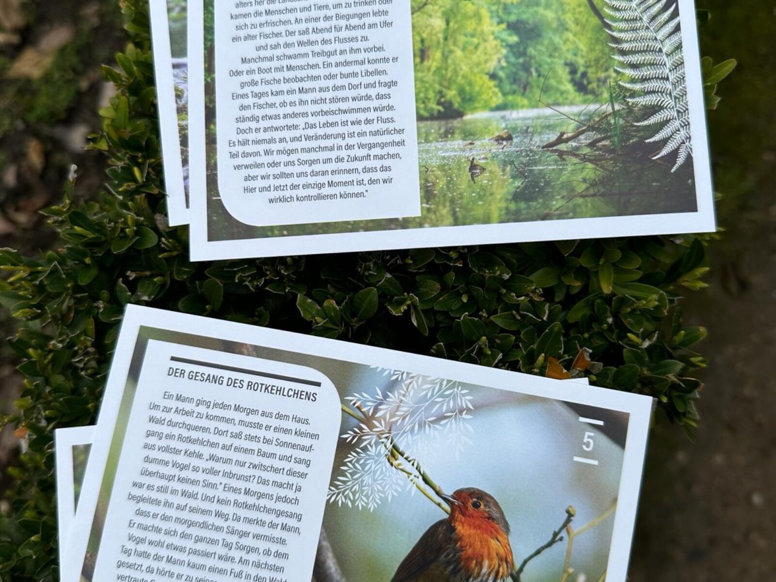 Ze(h)n-Geschichten-Kartenset – Bild 6
