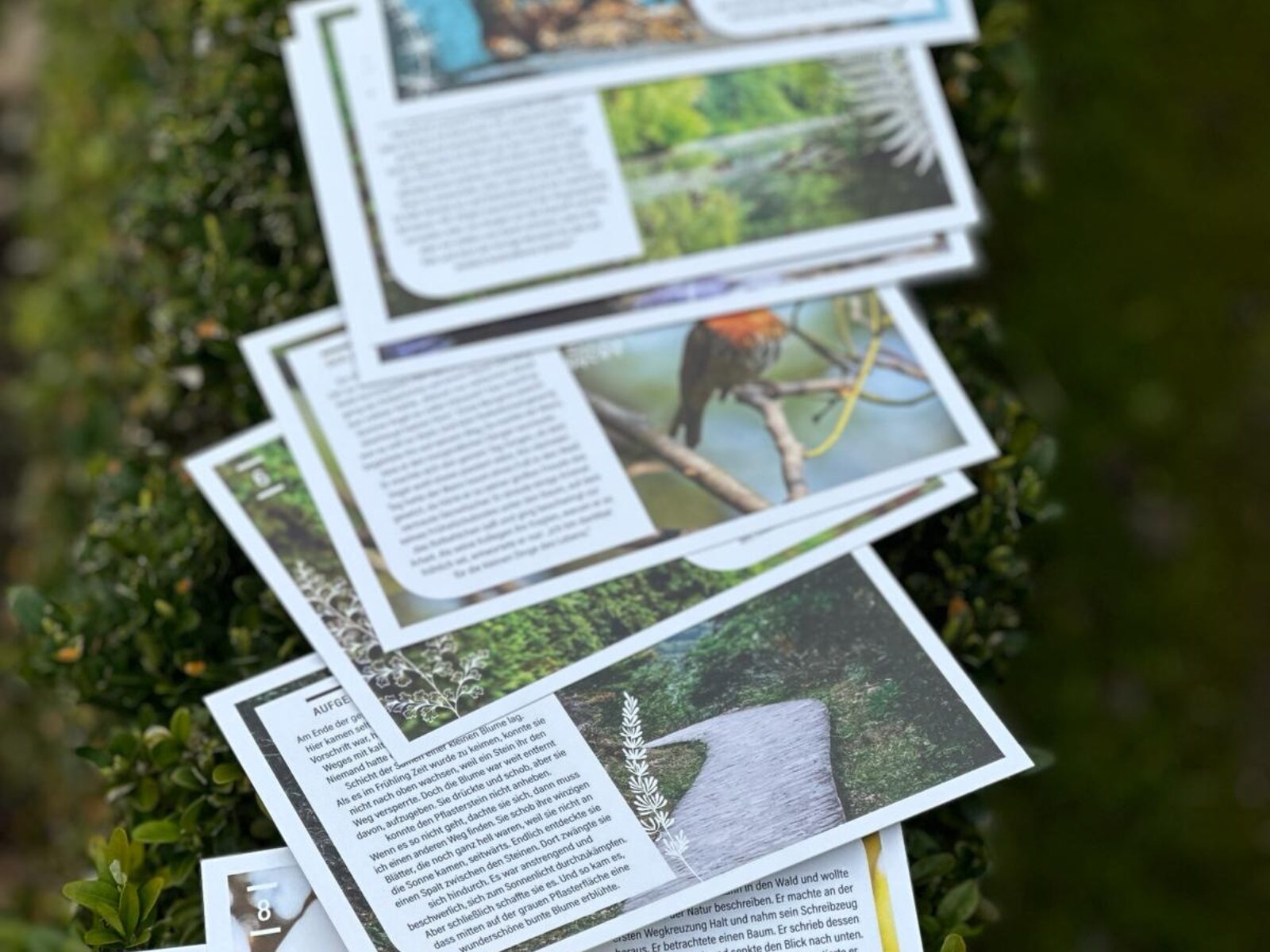 Ze(h)n-Geschichten-Kartenset – Bild 4