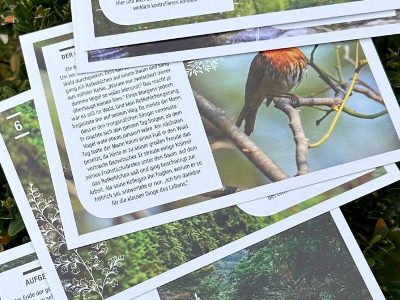 Ze(h)n-Geschichten-Kartenset – Bild 5