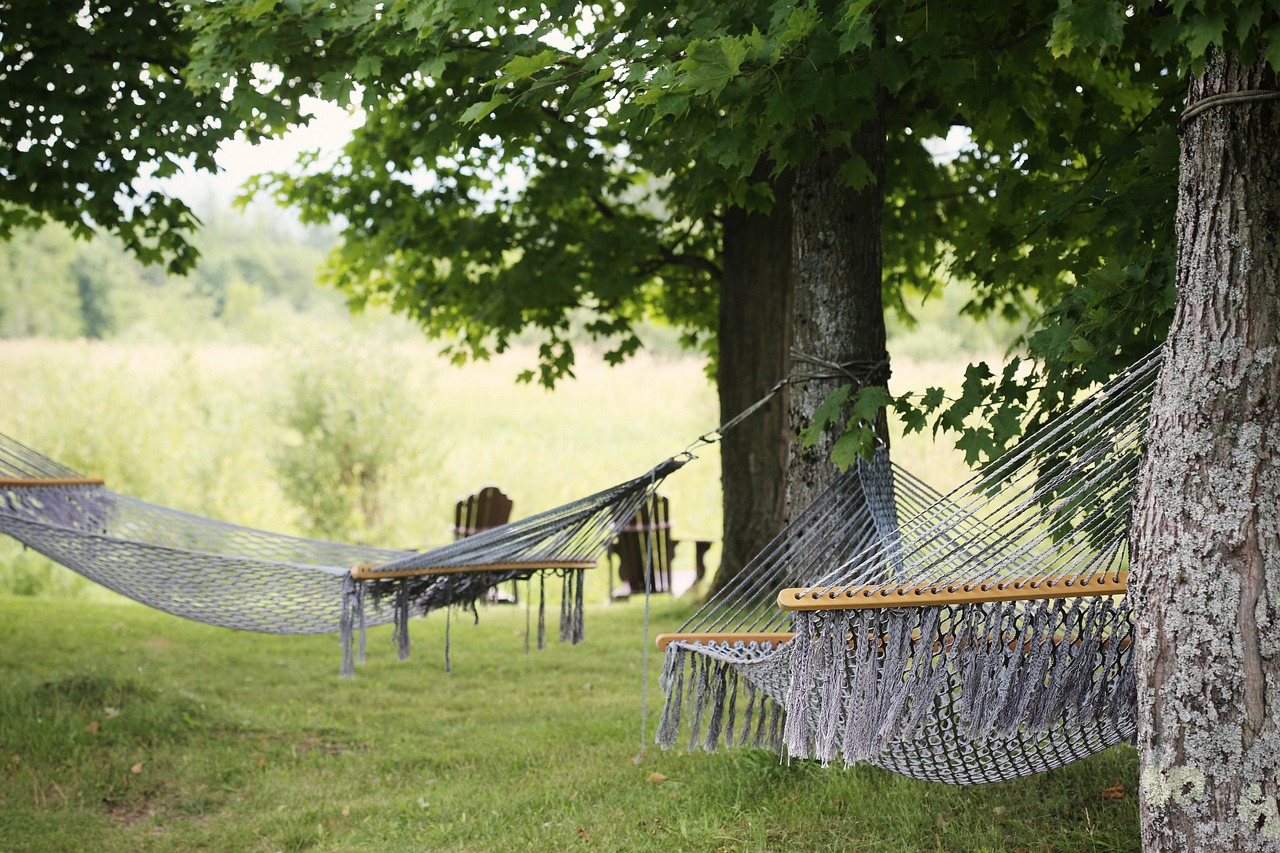 Hängematten unter grünen Bäumen – eine Auszeit in der Natur