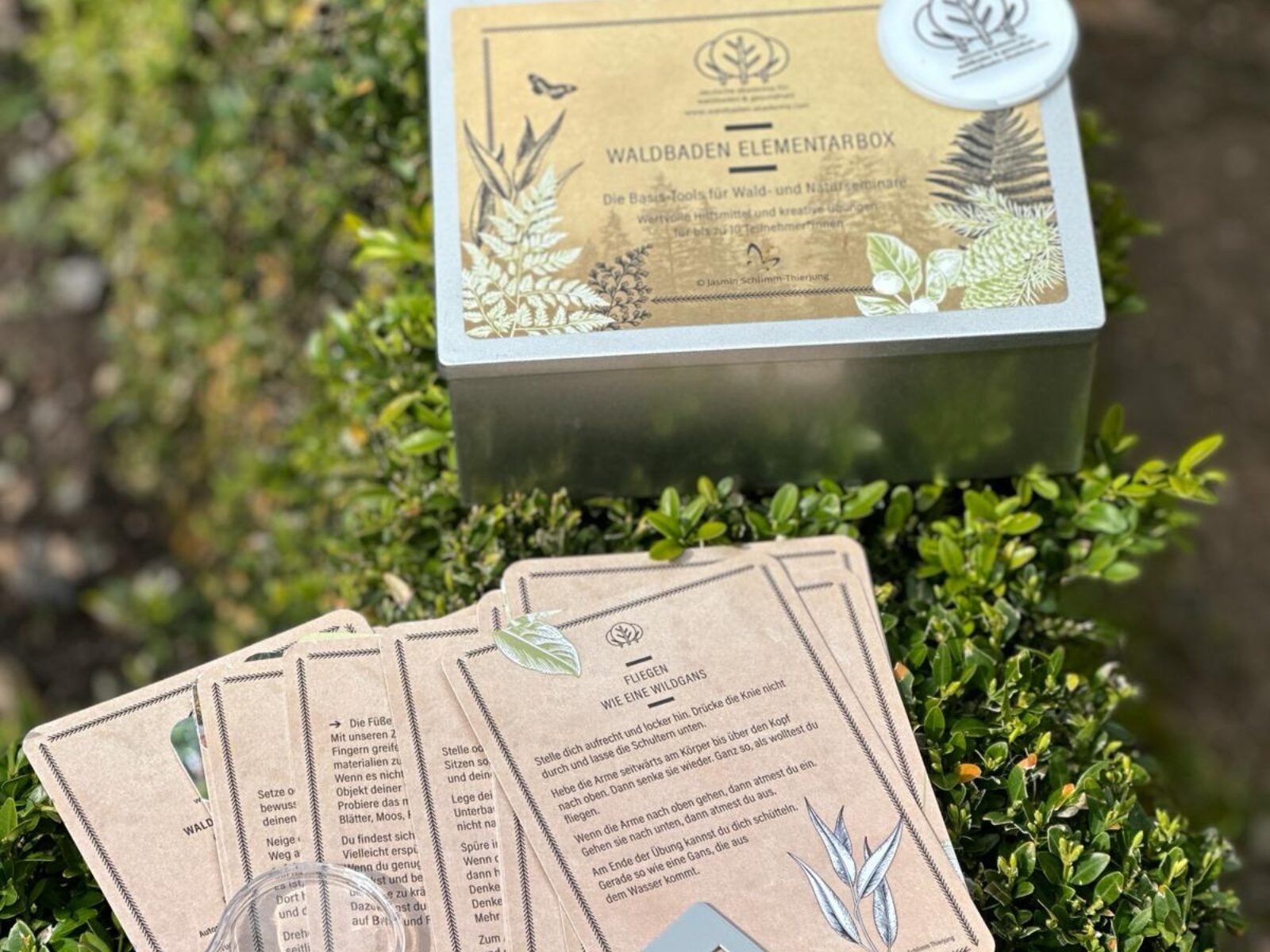 Waldbaden-Elementarbox für Erwachsene & Gruppen